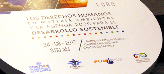 Los Derechos Humanos en materia ambiental y la Agenda 2030 para el desarrollo sustentable