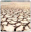 Carecen de agua 56 mil personas en La Laguna