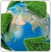 Hoy se celebra el Día Mundial del Medio Ambiente