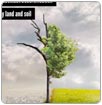 Hoy es el Día Mundial de Lucha contra la Desertificación 2013, no dejes que nuestro futuro se seque