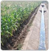 FAO subraya vínculo inseparable entre alimentación y agua
