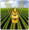 Contribuye FAO a la protección litoral de Cambodia
