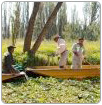 Chinampas de Ciudad de México fueron reconocidas como patrimonio agrícola mundial