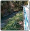 Denuncian agua contaminada