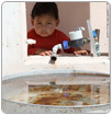 En Coahuila no existe el derecho humano al agua