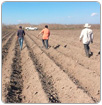 Falta de agua, principal problema de productores en SLP