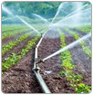 El 61% del agua para riego se desperdicia en la producción agrícola