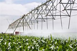 El uso de agua para regadío disminuyó un 11,1% en 2008 respecto al año anterior