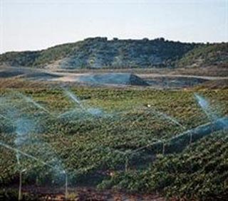Los regantes reclaman una Ley Orgánica en materia de agua