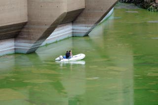 La semana en que el agua se tiñó de verde en Caldas