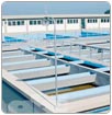 Essap garantiza calidad de agua en Pilar