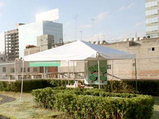 También se puede aplicar en azoteas de casas particulares