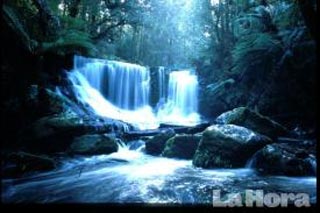 Piden políticas globales para el agua