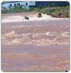 Corre agua desde ayer por el lecho seco del río Nazas en Torreón