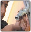 Diez colonias sin agua