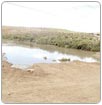 Fétidos olores por agua estancada: ejidatarios