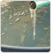 Agua potable, en punto de congelación en PN