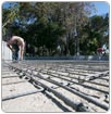 Lago de la Alameda: Otra vez a rehabilitación