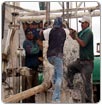 Mala calidad del agua ahuyenta empresas