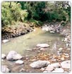 Alarmante contaminación de ríos y lagunas en Veracruz