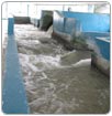 Entregarán más de 19 mdp a organismos de agua de Tamaulipas