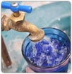Celebra COMDA iniciativa del agua