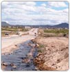 Ocasiona Ejido Agua Prieta derrame toxico