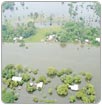 Lluvias e inundaciones activan alerta sanitaria