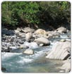 Reporta CNA disminución de agua en ríos de Veracruz por altas temperaturas