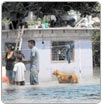 Tamaulipas monitorea cauces tras inundaciones