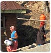 Males del agua pesan sobre los hombros de las cachemiras