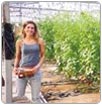 Riego con agua salobre en el desierto logra duplicar la producción