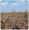 Descartan impacto de sequía en abastecimiento de agua en El Salvador