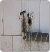 Serbia: Se da acceso al agua potable a familias romaníes desalojadas