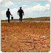 Día Mundial de la Lucha contra la Desertificación y la Sequía