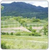 CON AGUAS GRISES DIVERSIFICAN HORTICULTURA EN EL JUTE, SOROGUARA