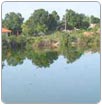 Severo racionamiento de agua agota la paciencia de costeños