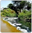 El Cauca, panorama de un río entristecido por las aguas sucias de Cali