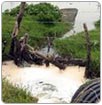 Agua contaminada podría causar males renales: investigadores IPN