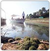Buscan prevenir crisis por agua