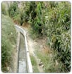 Conagua es responsable del agotamiento freático