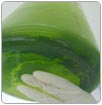 Purifican agua con algas marinas