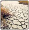 Prioridad en las sequías el agua para consumo humano