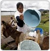 Entregan agua potable a 110 pueblos de Durango