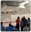 Llega agua a San Fernando en Lerdo y da comienzo plan de riego 2012 en La Laguna