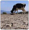 Restringirán agua por sequía en Sinaloa