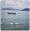 Relevante reducción del nivel de agua en el Lago de Chapala