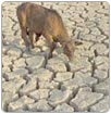Se agudiza la ‘crisis del agua’