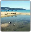 Aguas negras de comercios llegan al mar en Acapulco