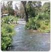 Existe desabasto de agua en Uruapan: CAPASU